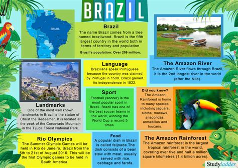 brazil culture facts for teachers